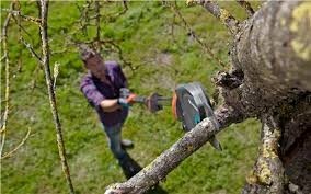 Телескопични ножици за кастрене на клони GARDENA