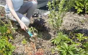 GARDENA Ръчен уред за плевене