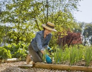 GARDENA Ръкавици за разсаждане L