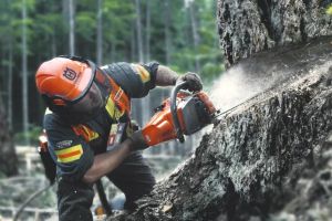 Моторен трион Husqvarna 560 XP